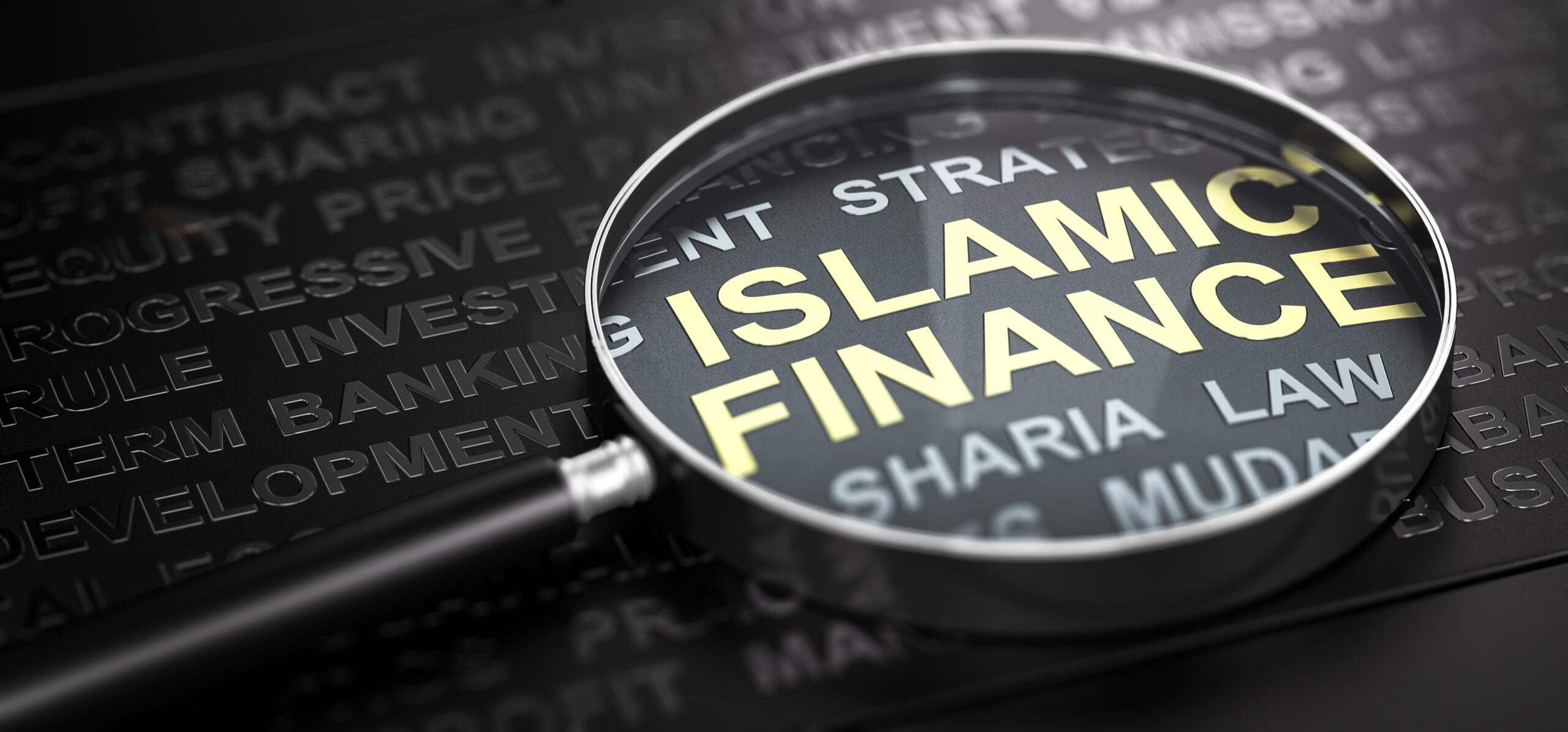 Islamic Finance or Banking.