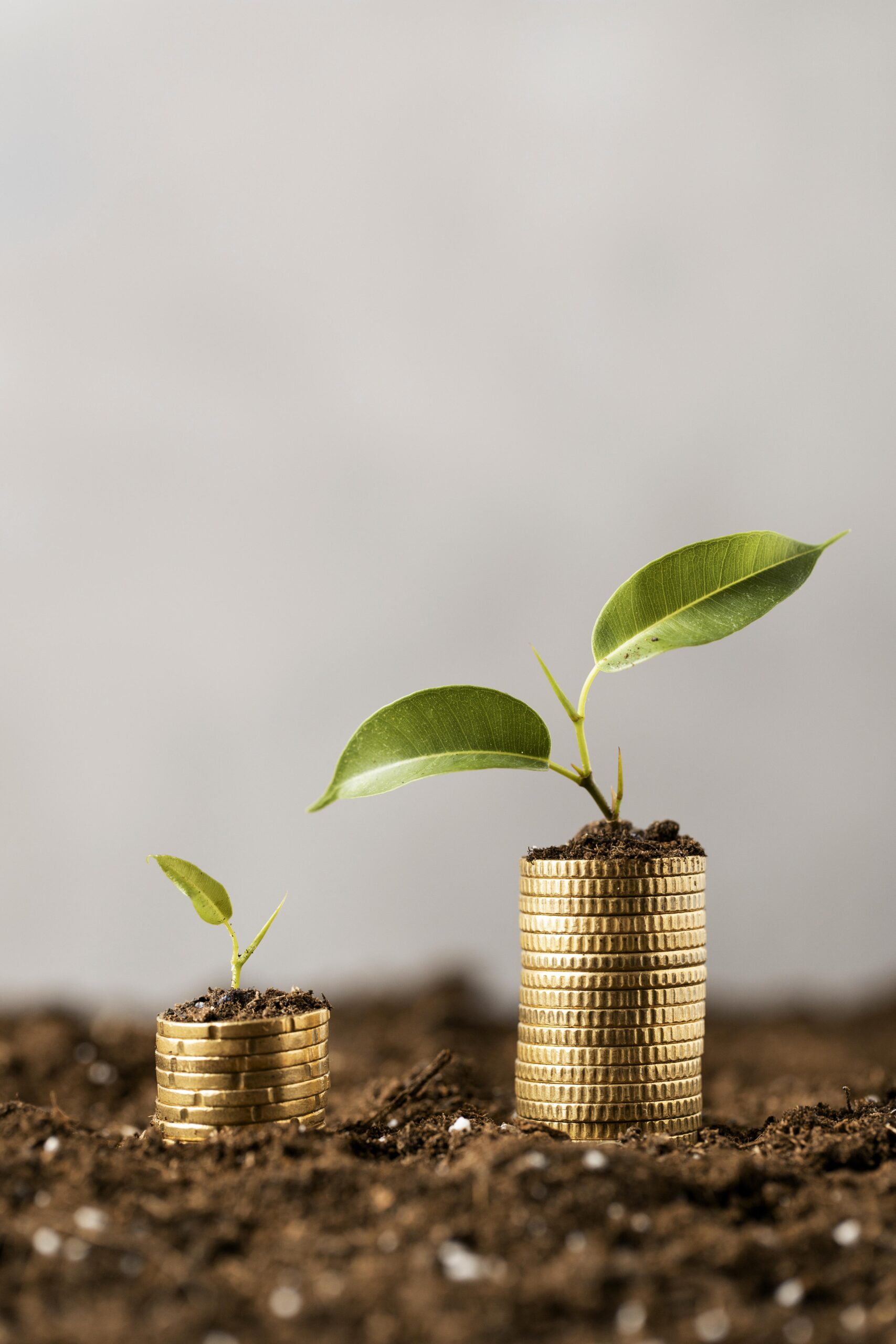 front-view-plants-with-coins-stacked-dirt-copy-space